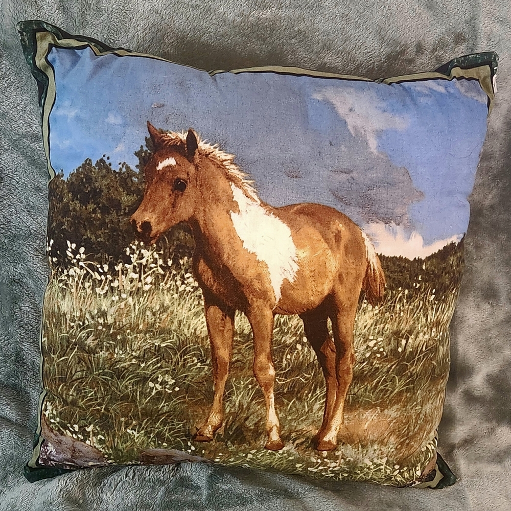 Pillow-Colt Tan/ White in field, 16 by 16, Black Backing,Hypoallergenic stuffing